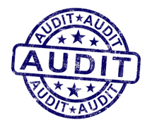 logo_audit